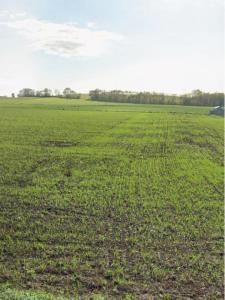 For sale Ballon 717 m2 Charente maritime (17290) photo 1