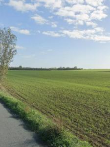 For sale Ballon 717 m2 Charente maritime (17290) photo 2