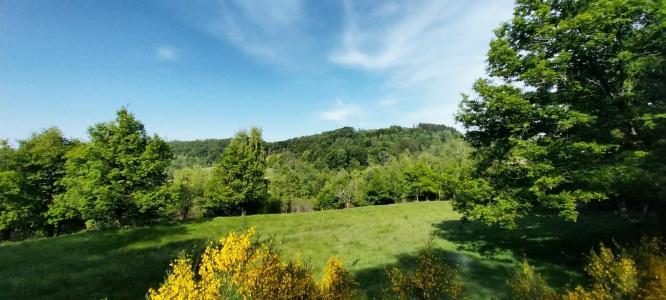 For sale Beulotte-saint-laurent 4 rooms 65 m2 Haute saone (70310) photo 4