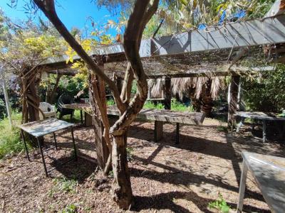 Annonce Vente Terrain Saint-cyprien 66