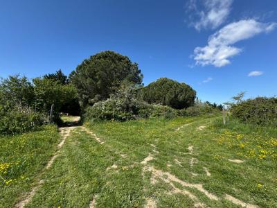 Acheter Terrain Saint-cyprien 145000 euros