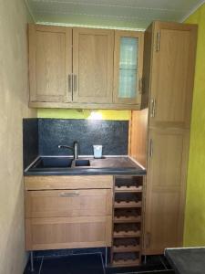 For rent Caluire-et-cuire 1 room 29 m2 Rhone (69300) photo 2