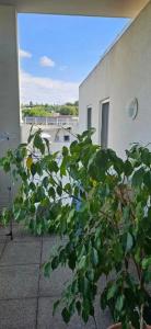 Annonce Location 3 pices Appartement Cagnes-sur-mer 06
