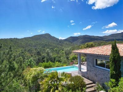 For sale Sari-solenzara 5 rooms 205 m2 Corse (20145) photo 0
