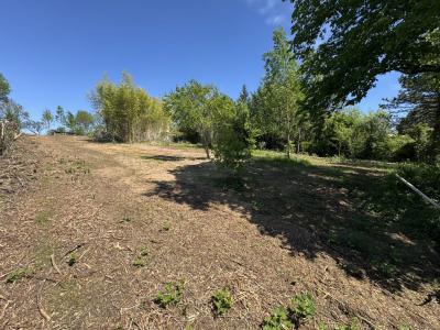 For sale A 20 MINUTES D'ALBI 7 rooms 203 m2 Tarn (81000) photo 3