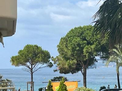 For sale Pointe Croisette Alpes Maritimes (06400) photo 2