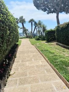 For sale Plages du midi 44 m2 Alpes Maritimes (06400) photo 3