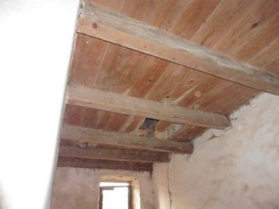 Acheter Maison 300 m2 