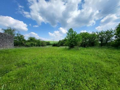 For sale 3014 m2 Charente maritime (17330) photo 1
