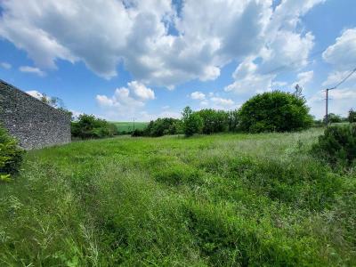For sale 3014 m2 Charente maritime (17330) photo 3