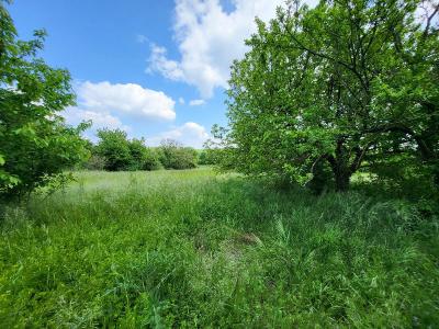 For sale 3014 m2 Charente maritime (17330) photo 4