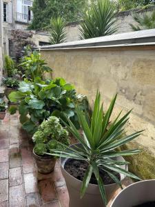 For rent Bordeaux 1 room 25 m2 Gironde (33000) photo 2