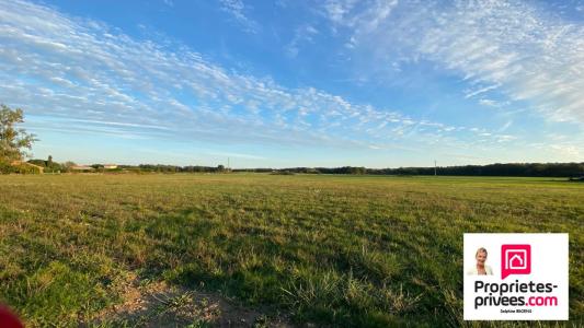 For sale Castelnau-d'estretefonds 812 m2 Haute garonne (31620) photo 3