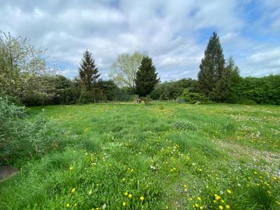 For sale Victot-pontfol 1 room 55 m2 Calvados (14430) photo 2