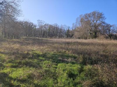 For sale Rochessauve 4 rooms 100 m2 Ardeche (07210) photo 2