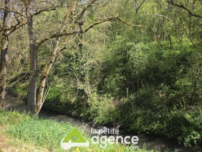 For sale Saint-denis-de-palin 9 rooms 243 m2 Cher (18130) photo 2