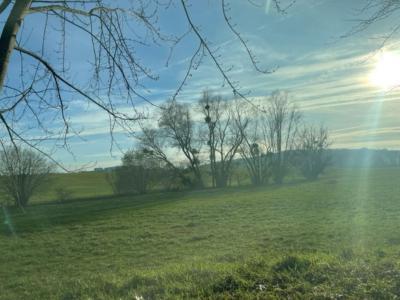 For sale Pelousey 126 m2 Doubs (25170) photo 2