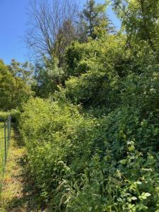 Annonce Vente Maison Auxon-dessous 25