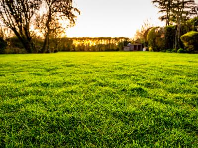Acheter Terrain 500 m2 Maule