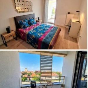 Annonce Location 2 pices Appartement Schiltigheim 67