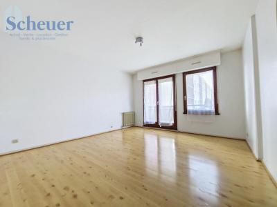 Annonce Location Appartement Molsheim 67