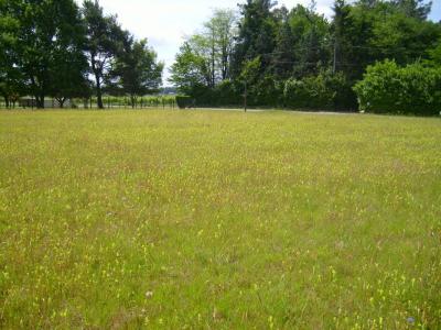 For sale Bonnetan 6 rooms 140 m2 Gironde (33370) photo 3