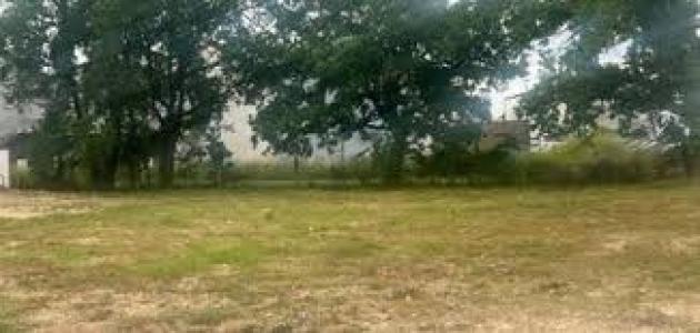 For sale Bonnetan 6 rooms 140 m2 Gironde (33370) photo 3