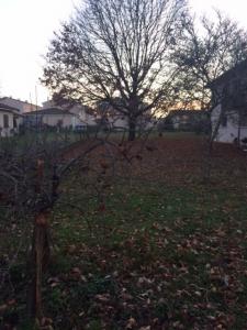 Acheter Maison Pessac Gironde