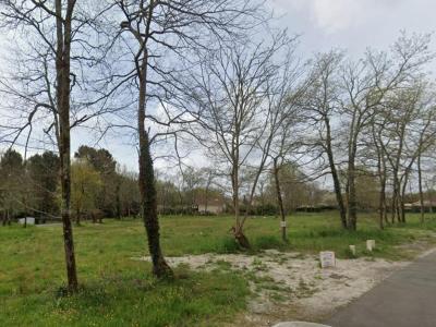 Acheter Terrain Arsac Gironde