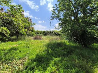 For sale Artigues-pres-bordeaux 800 m2 Gironde (33370) photo 0