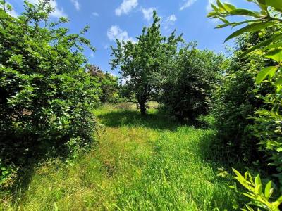 Acheter Terrain 800 m2 Artigues-pres-bordeaux