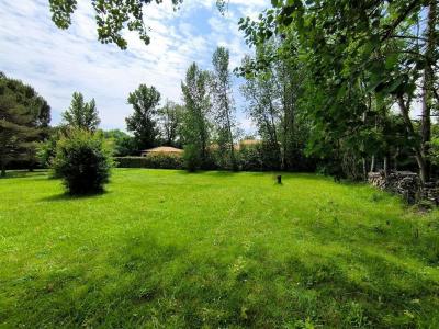 Annonce Vente Terrain Sainte-eulalie 33