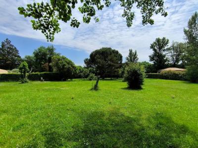 Acheter Terrain Sainte-eulalie 365000 euros