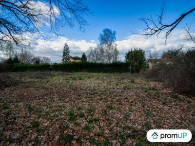 Annonce Vente Terrain Dieupentale 82
