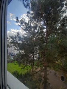 Louer Appartement Lure 520 euros
