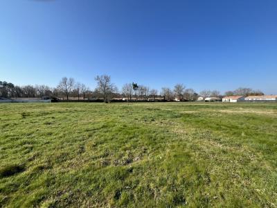 For sale Saint-magne 800 m2 Gironde (33125) photo 0