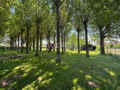 Annonce Vente 7 pices Maison Recques-sur-hem 62