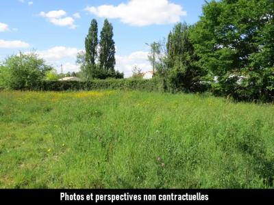 For sale Dompierre-sur-yon Vendee (85170) photo 1