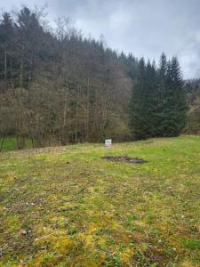 Annonce Vente Terrain Grandfontaine 67