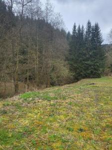 Acheter Terrain 1286 m2 Grandfontaine