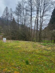 Acheter Terrain Grandfontaine Bas rhin