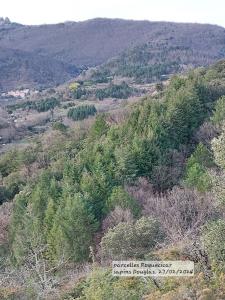 Acheter Terrain  Herault