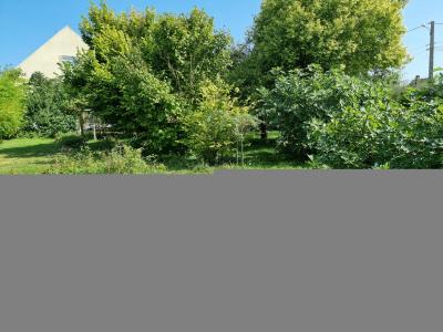 Acheter Terrain  Aube