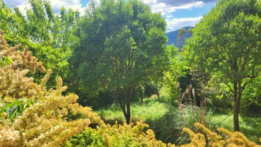 For sale 5 rooms 75 m2 Ardeche (07140) photo 3