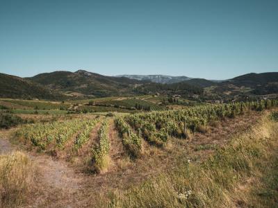 For sale ROUTE DES CHTEAUX CATHAR 107 m2 Aude (11360) photo 2