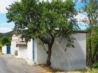 For sale CAMPAGNE 6 rooms 165 m2 Aude (11360) photo 2
