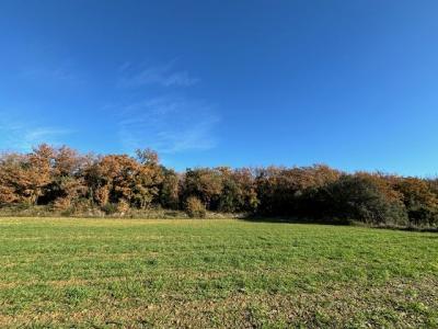 For sale A 15 MINUTES D'UZS Gard (30700) photo 3