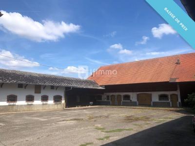 Acheter Prestige 181 m2 Ensisheim