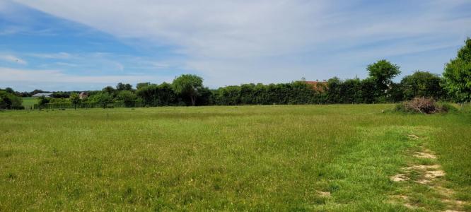 For sale Vendome 4329 m2 Loir et cher (41100) photo 2