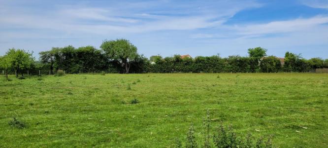 For sale Vendome 4329 m2 Loir et cher (41100) photo 3